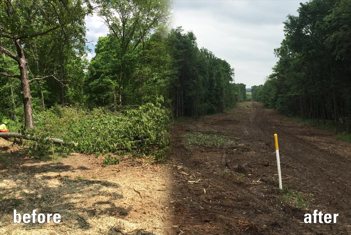 Before and after photo of ROW clearing