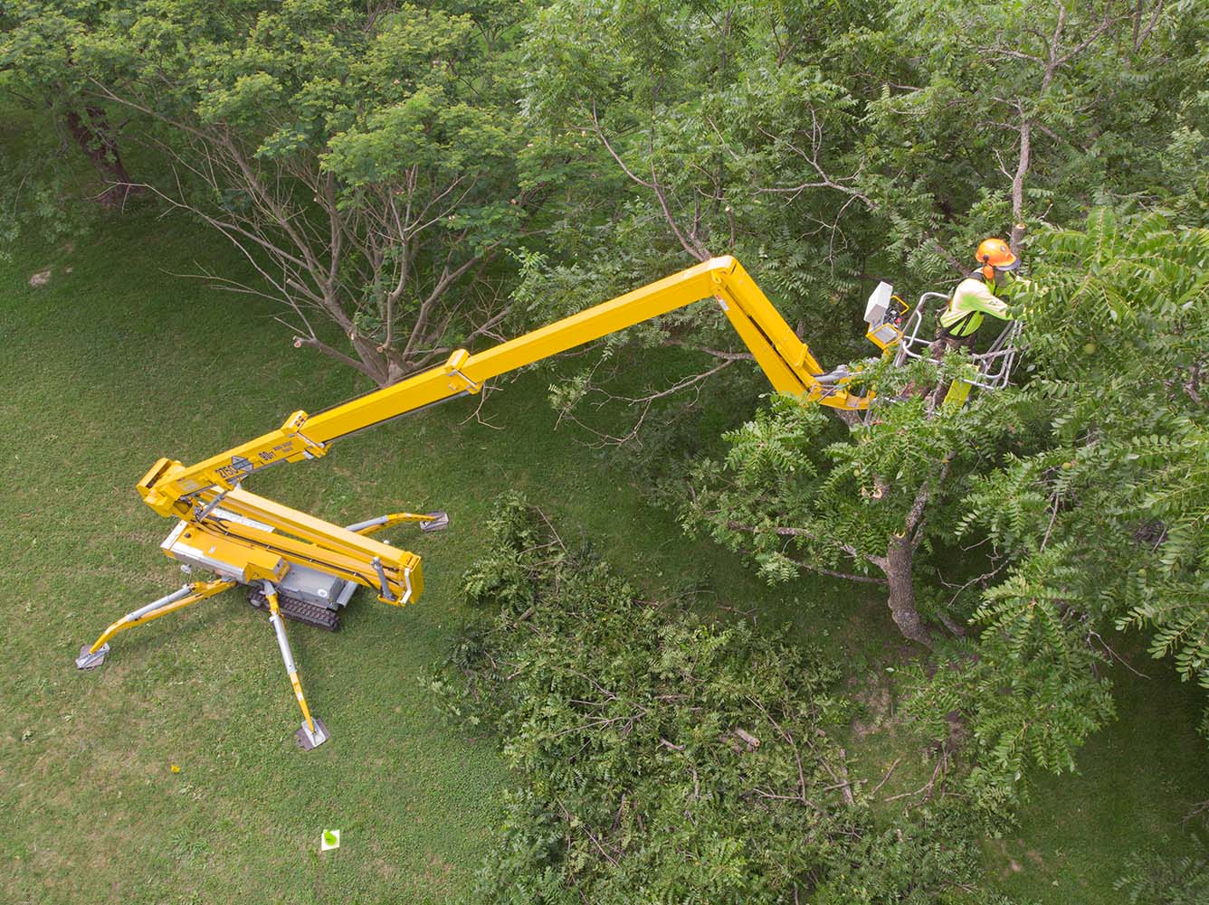 yellow crane with Lanracorp worker in bucket trimming trees