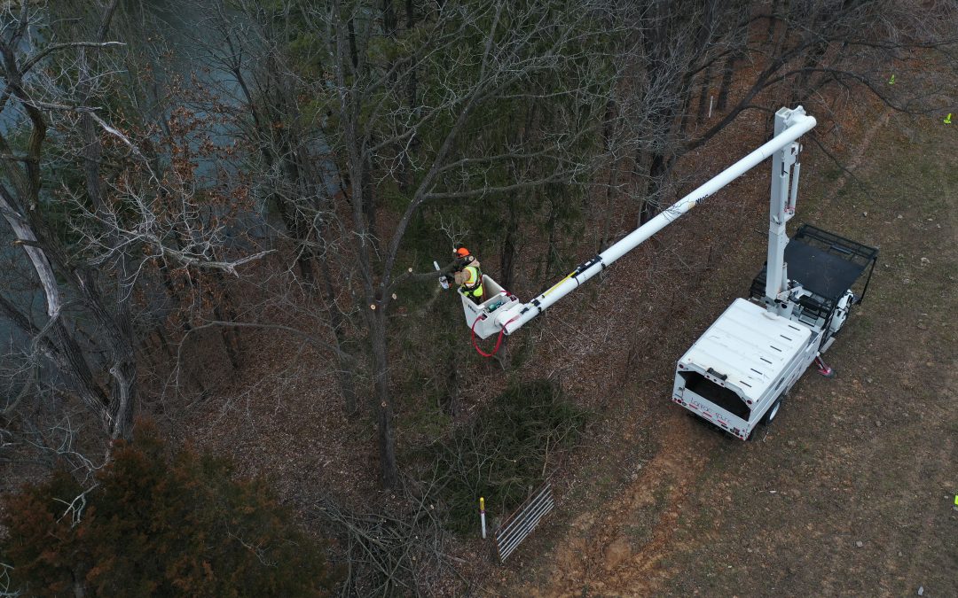 Man in PPE being lifted by a bucket truck in the forest