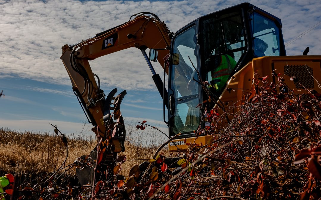 ROW Clearing in a Wetlands Timber Mats Can Help Get the Job Done