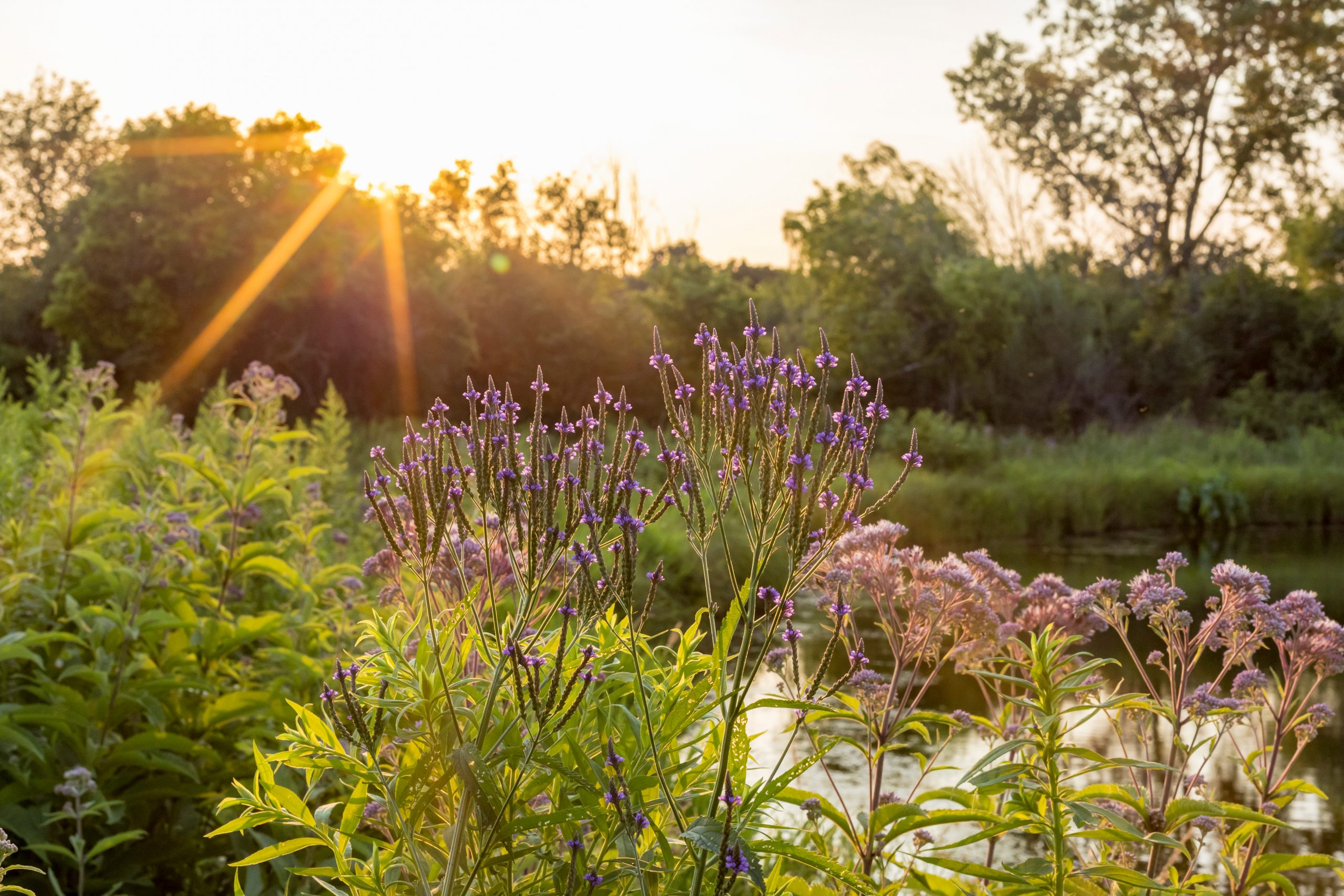 Integrated Habitat Management 