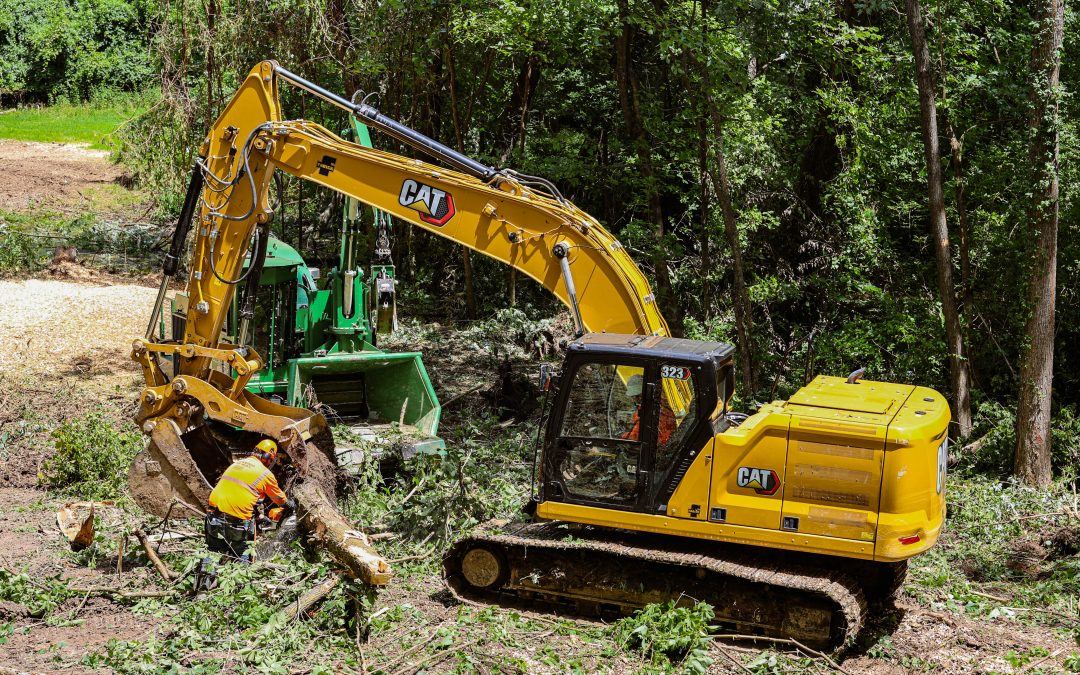 hazard tree removal