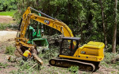 6 Essential Tips for Hazard Tree Removal in the Oil, Gas, and Pipeline Industries