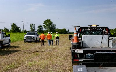 What Is Utility Vegetation Management and Why Do You Need it?