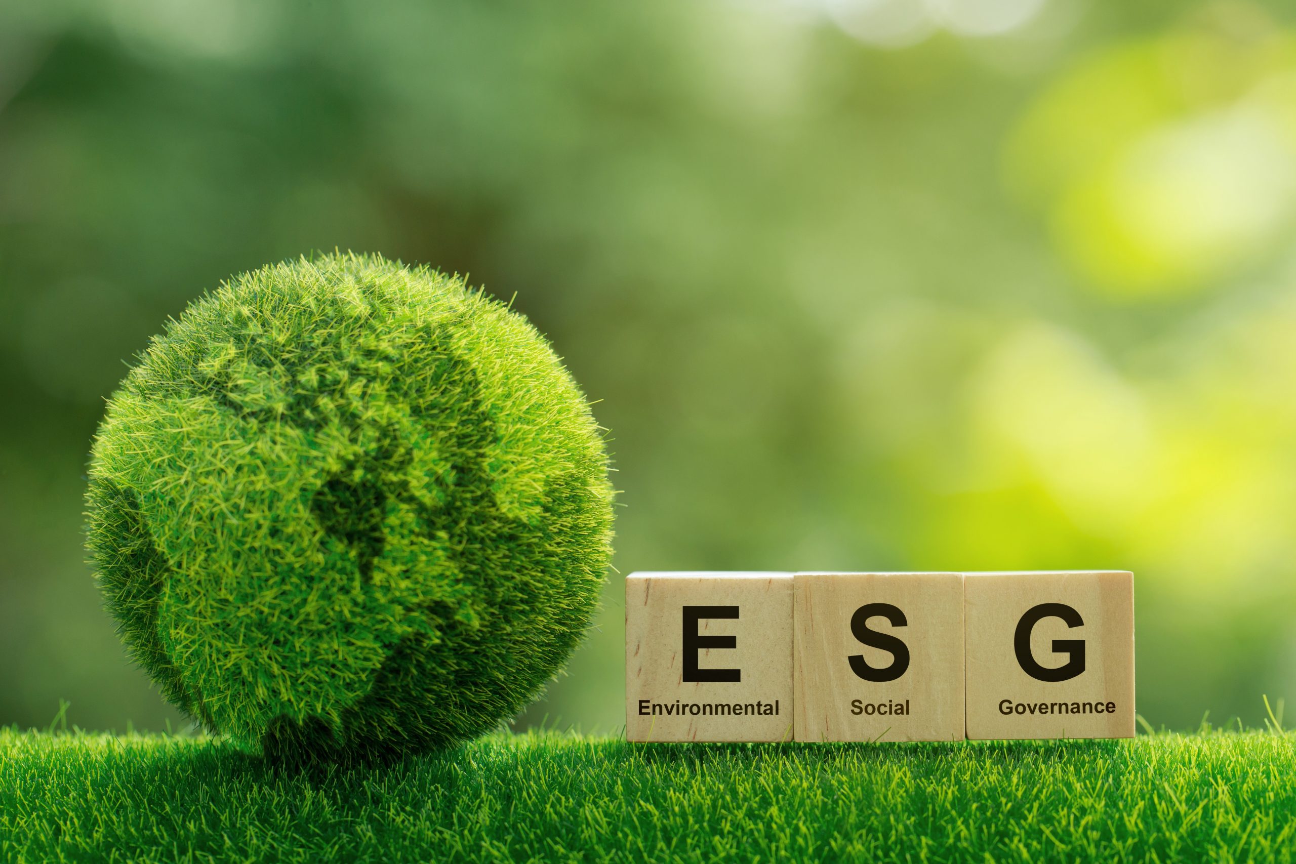 ESG compliance