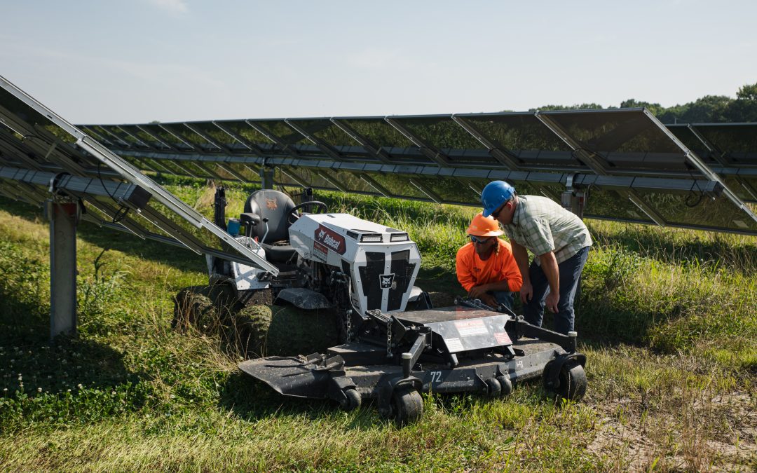 Why Vegetation Management and Mowing Is Critical for Solar Farm Safety and Performance