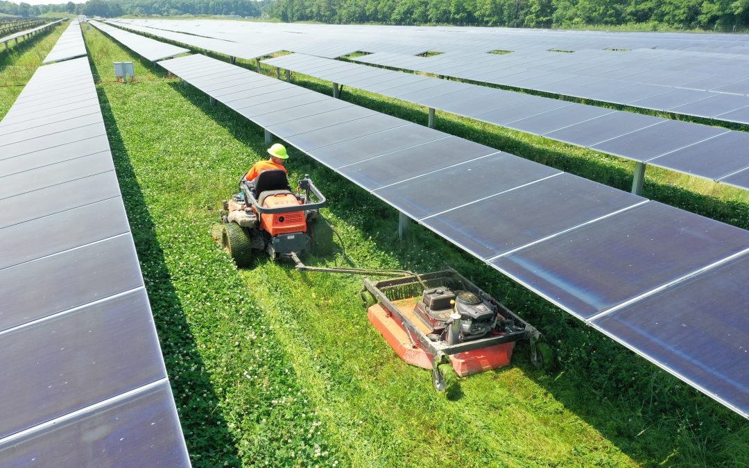 Solar Farm Mowing: Keeping Your Site Efficient, Safe, and Compliant