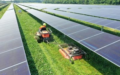 Solar Farm Mowing: Keeping Your Site Efficient, Safe, and Compliant