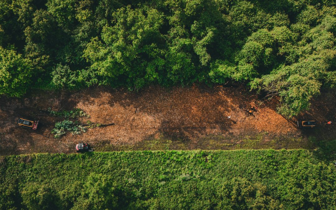 Why Row Clearing is Critical for Pipeline Safety and Operations