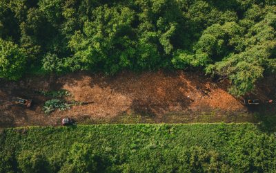 Why Row Clearing is Critical for Pipeline Safety and Operations