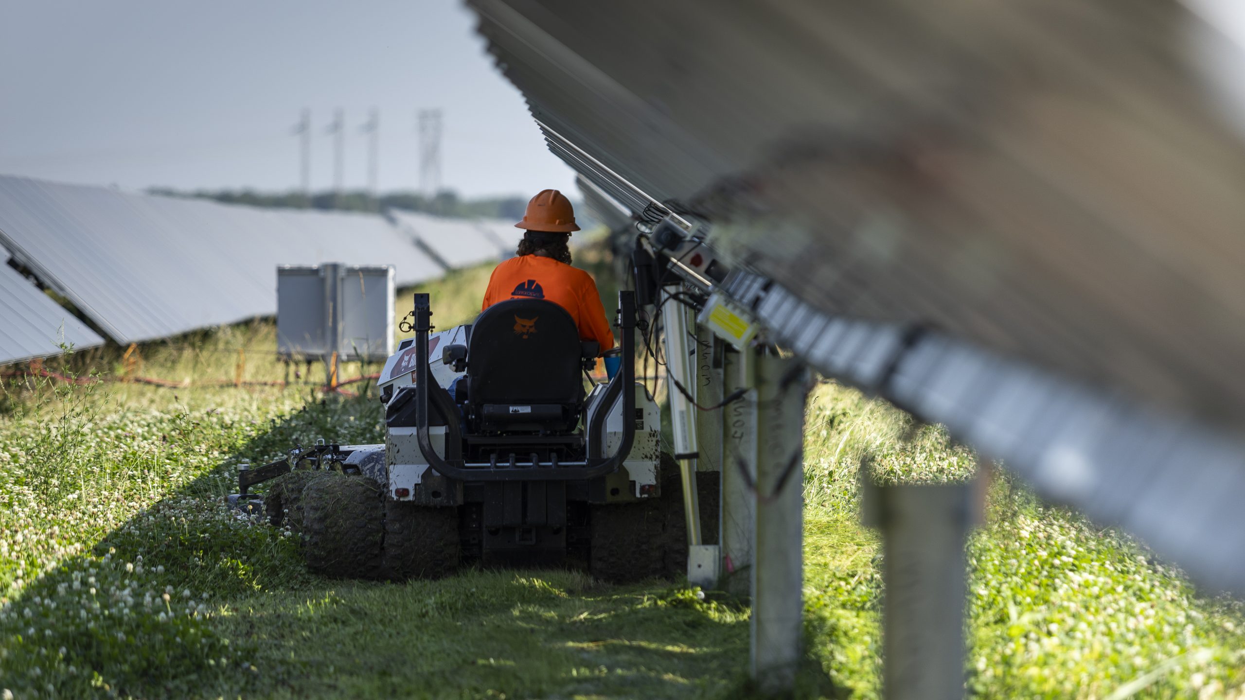 Solar Farm Mowing