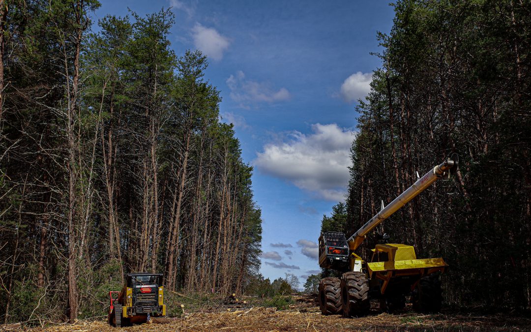 ROW Clearing Reduces Liability and Risks for Pipeline Companies