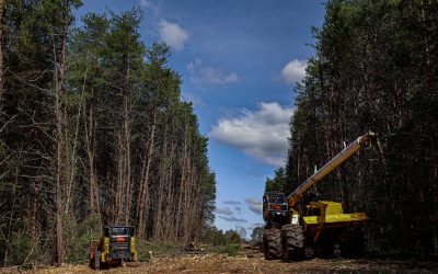 ROW Clearing Reduces Liability and Risks for Pipeline Companies