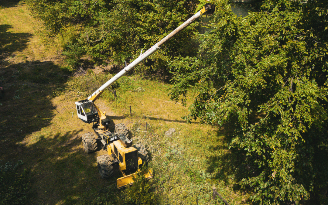 Neglecting ROW Clearing Creates Real Risk: Legal, Environmental, and Operational Consequences