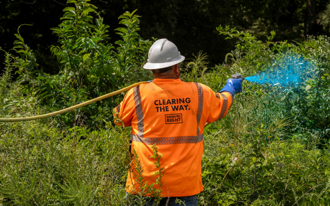 What Is Integrated Vegetation Management (IVM)?