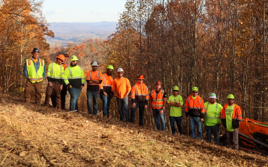 IVM and SmartROW™ Programs Reduce Long-Term ROW Clearing Costs